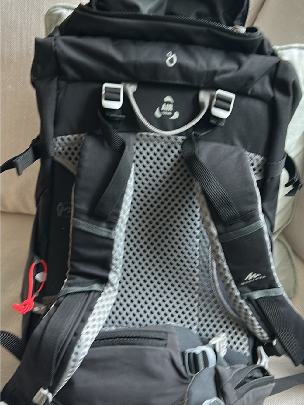 Quechua Black Backpack with Gray Mesh Back